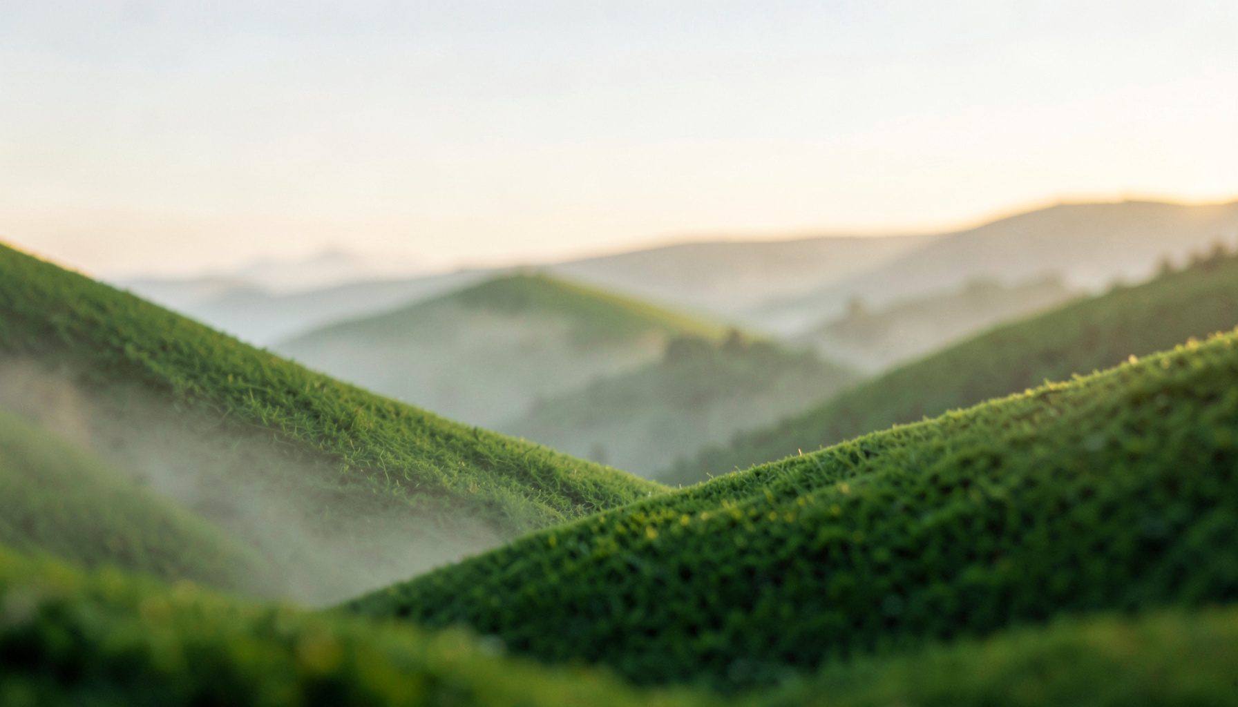 A soft, atmospheric landscape of rolling green hills under a pale morning sky, with gentle mist settling in the valleys and warm golden light breaking through the haze